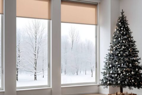 Dual roller shades in a living room near Richmond, VA