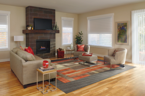 Living room with white Hunter Douglas shades managing light.